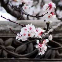 百無禁忌，什麼都能聊，只有不歡迎正義魔人