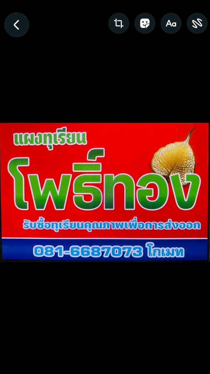แผงทุเรียนโพธิ์ทอง