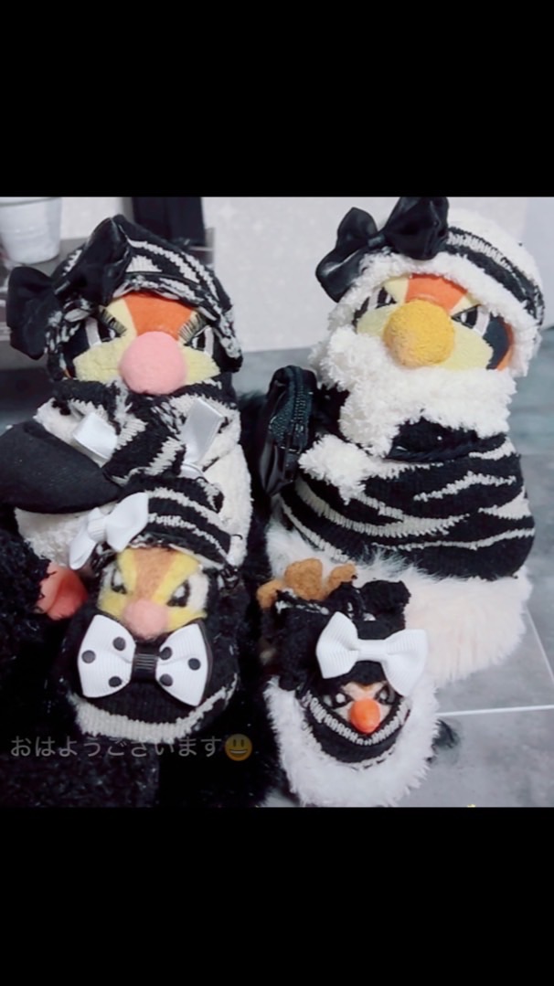 🐤ポッポサブスク限定ルーム🐤