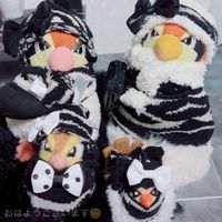 🐤ポッポサブスク限定ルーム🐤