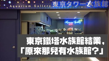 東京鐵塔水族館結業，網友驚覺：「原來那兒有水族館？」
