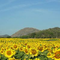 ทัวร์เขาใหญ่
