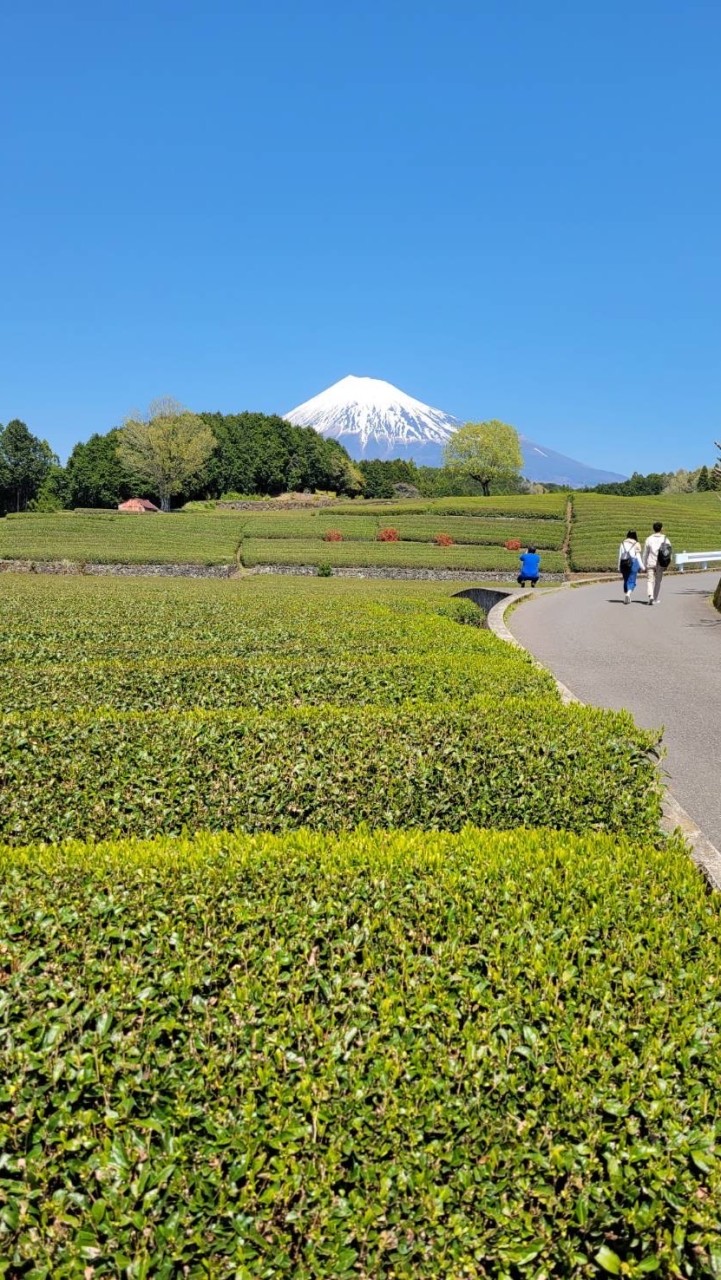 さくらの会　バイポーラ　静岡東部