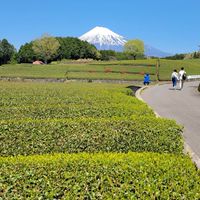さくらの会　バイポーラ　静岡東部