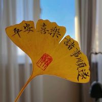 顶峰节奏群