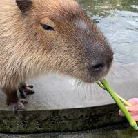 消滅脂肪動一動