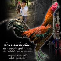 ช ชยกร [sos] ฟาร์ม