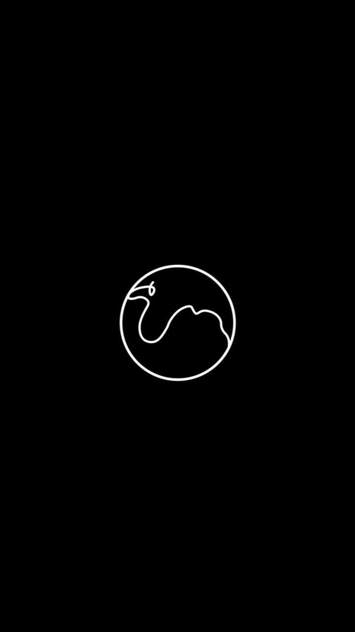 Camel.belly