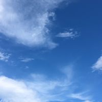 学生絵師さん集まれ〜！！