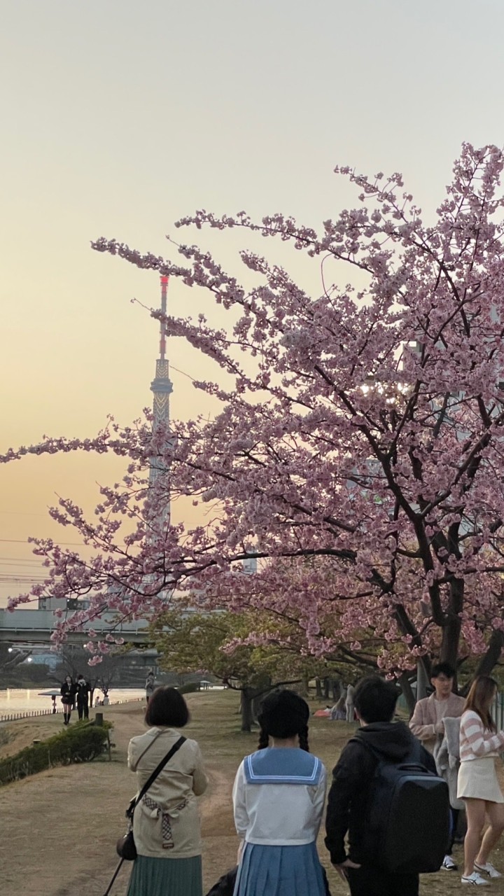 厚片女孩日本生活代GO
