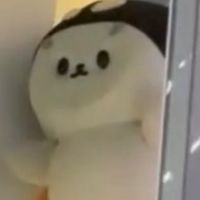 賭徒代購群（目前：一月書展/SurfJava FM）