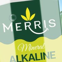 MERRiS ETC1:4:6