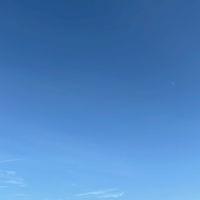 森羅万象