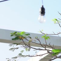 街頭攝影症候群