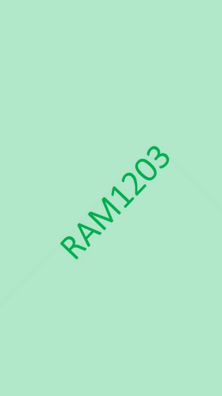 RAM1203