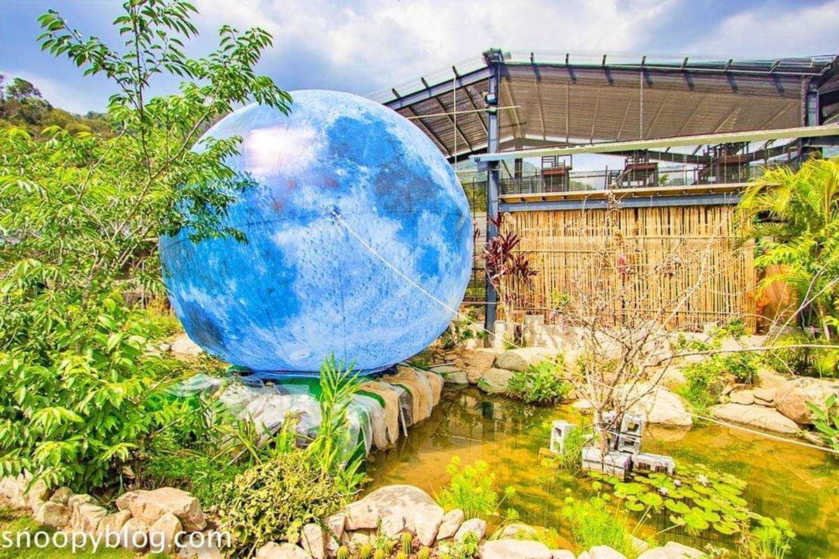 美拍夢幻泡泡屋、藍色星球！南投「免門票祕境」IG暴紅，還能體驗多肉盆栽DIY