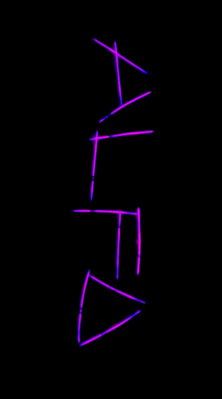 ALFO(ant love foraver organize)