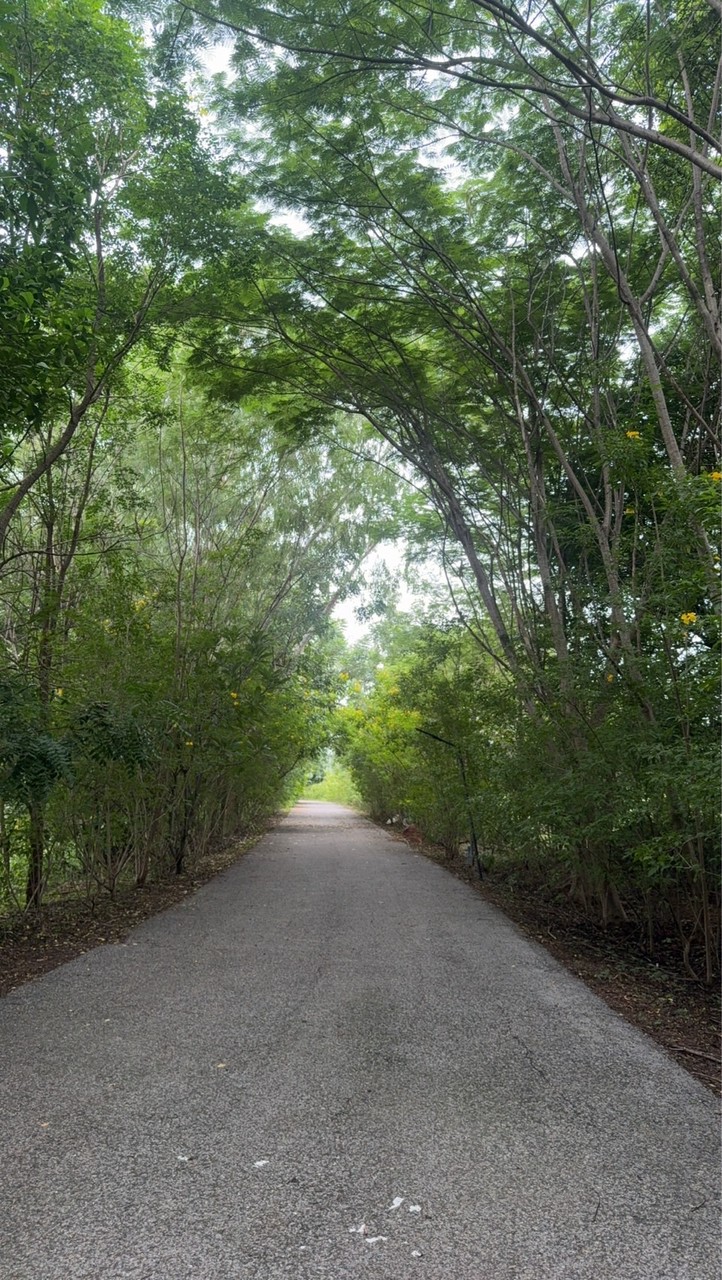 ธรรมะธรรมชาติ