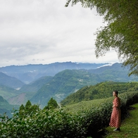 你一定要去的嘉義梅山！不輸國外的台灣之美！10個必去景點|嘉義梅山2天1夜|嘉義景點推薦