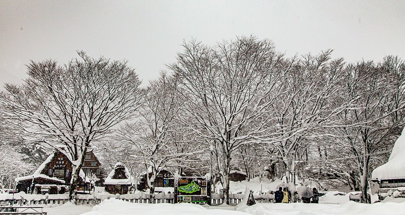 20160120-20160120-IMG_9638