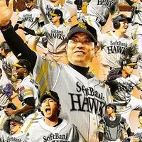 ソフトバンクホークス好き🦅🦅🦅🦅
