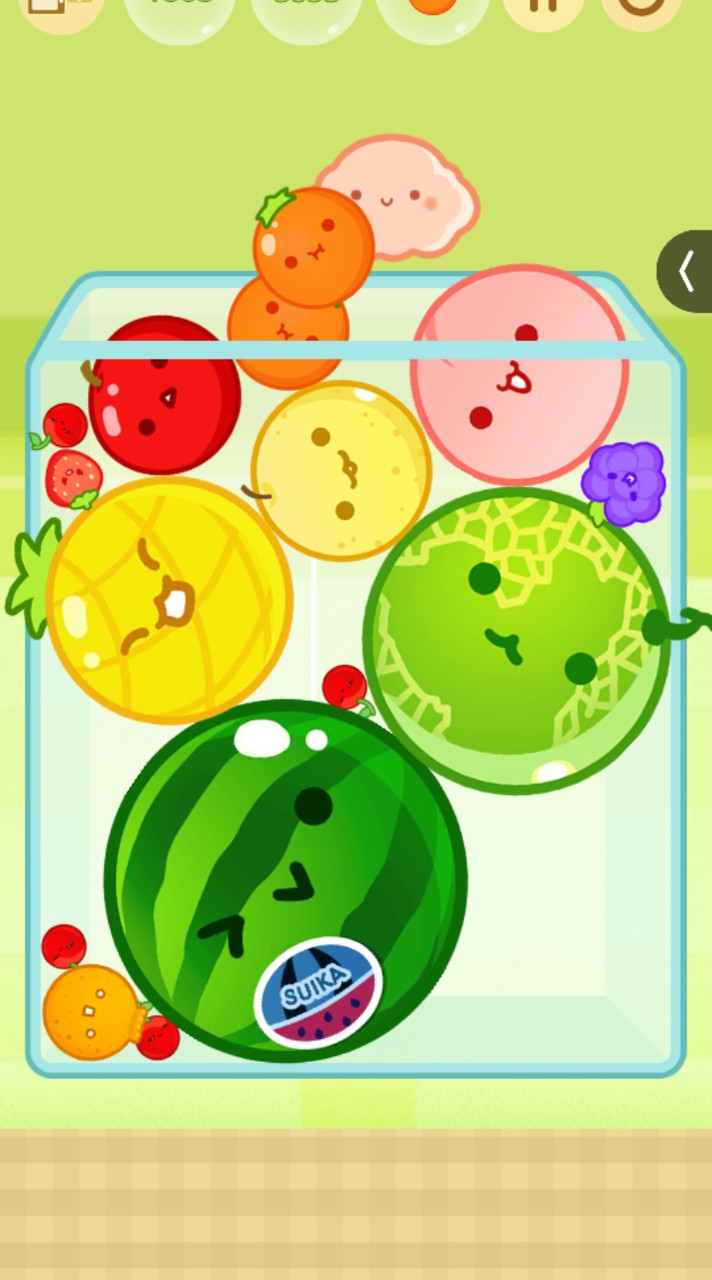 🍉スイカゲーム🍉　りりオプ！