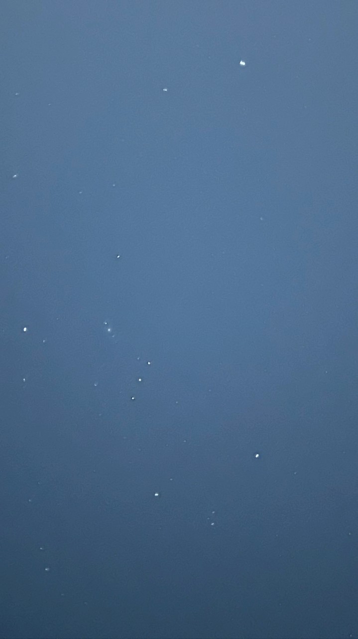 影羽ファンクラブ