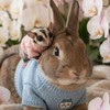🐇うさぎ💘LOVE💕愛ランド💕