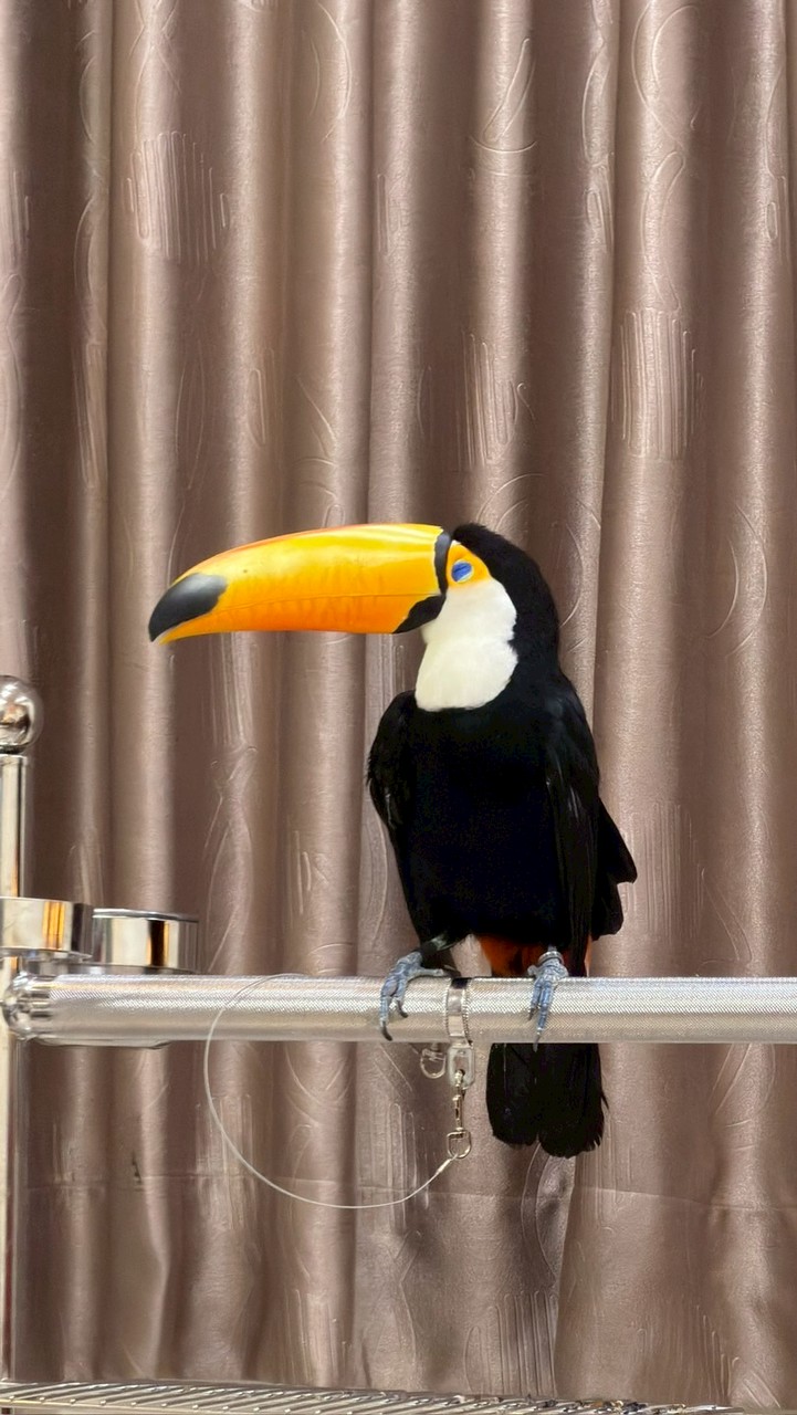 桃園八德 京悅鮮果團購群