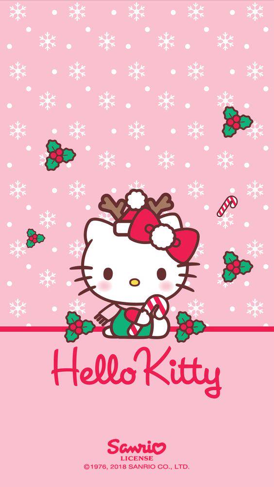 世界上最可愛的貓 Hello Kitty粉絲們必入 這10張經典桌布必收藏 女生集合 Line Today