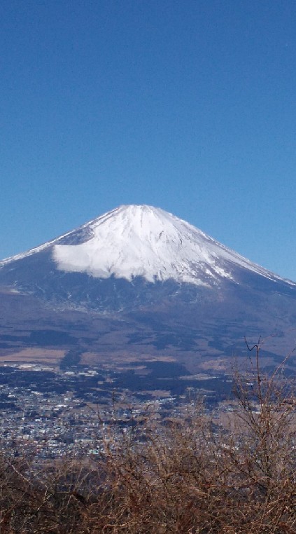 高校の化学だけなら………