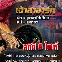 ฝากผสมพ่อพันธุ์หลัก ซุ้มชาหมู่ 9 ท่าเกษม