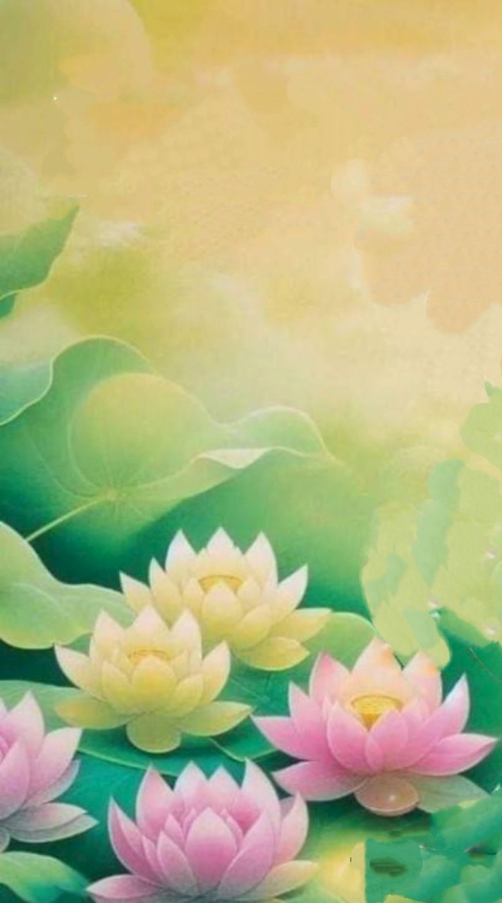 🪷你一定要念佛/南無阿彌陀佛/早安圖/養身/素食/助念/佛曲/淨土/健康/正能量