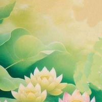 🪷你一定要念佛/南無阿彌陀佛/早安圖/養身/素食/助念/佛曲/淨土/健康/正能量