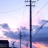 写真共有部📸