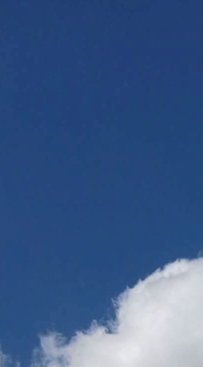 แวดวง แม่ฟ้าหลวง