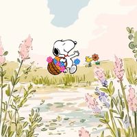 美代子