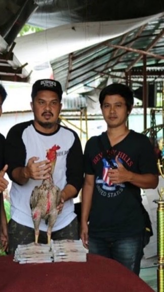วัฒน์ไก่ชนทวีทรัพย์