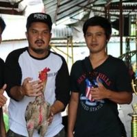 วัฒน์ไก่ชนทวีทรัพย์
