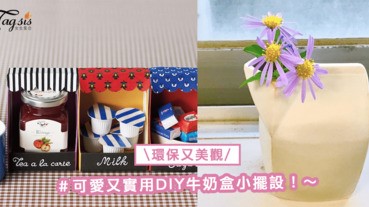 可愛又實用牛奶盒小擺設！SIS動手簡單DIY「調味料收納盒」