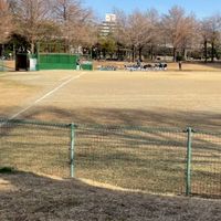 鷹丘ホークス🦅Tボール