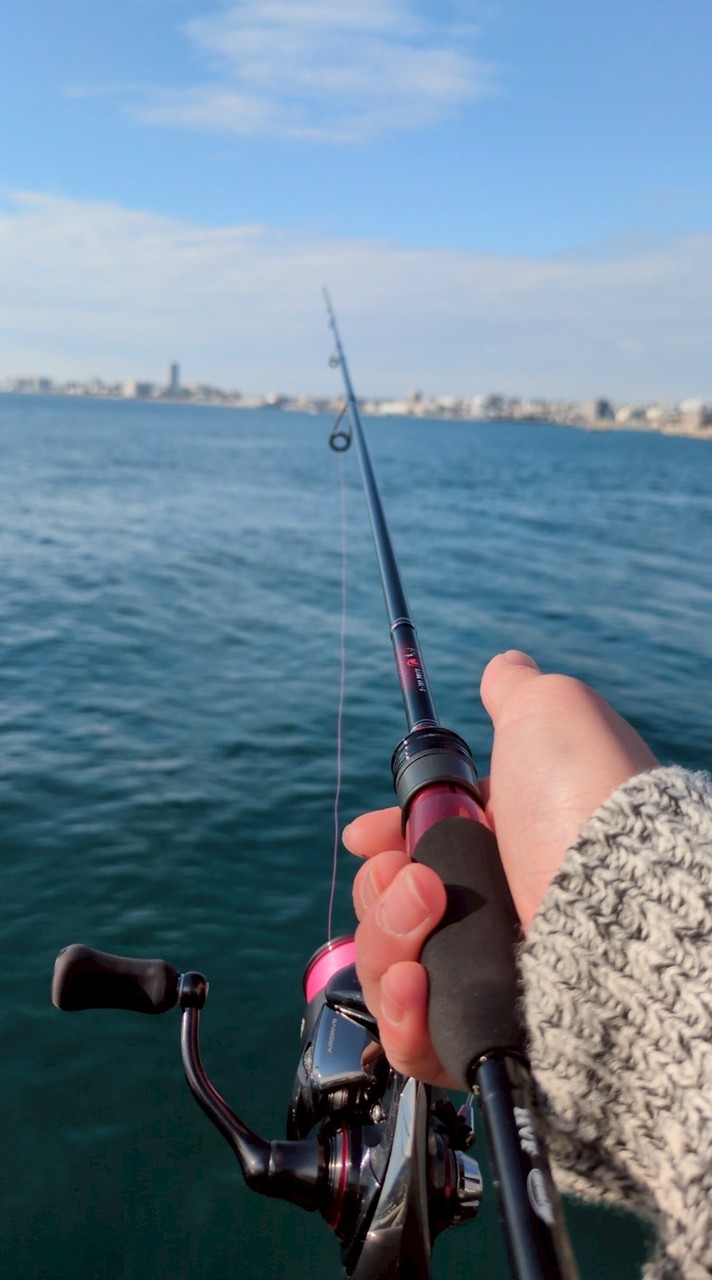 京都　ライトゲーム