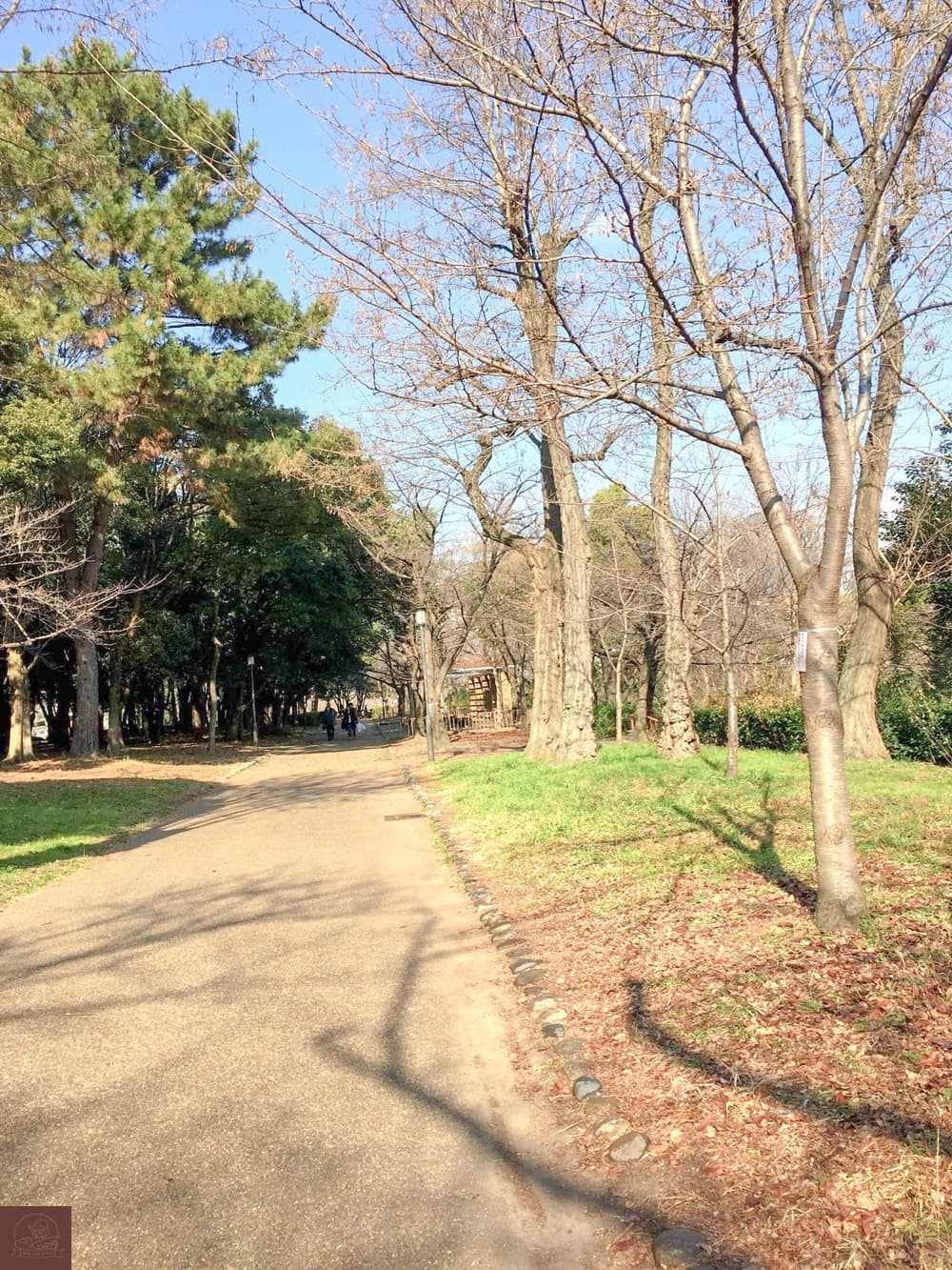 大阪城公園