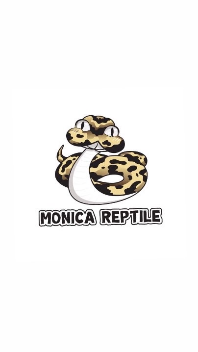 Monica reptile