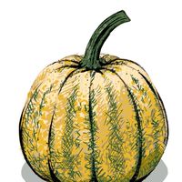 初心者からのお絵描きフリートーク