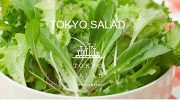 【規劃智慧】藏於大城中的秘密菜園 Tokyo Salad 東京沙拉