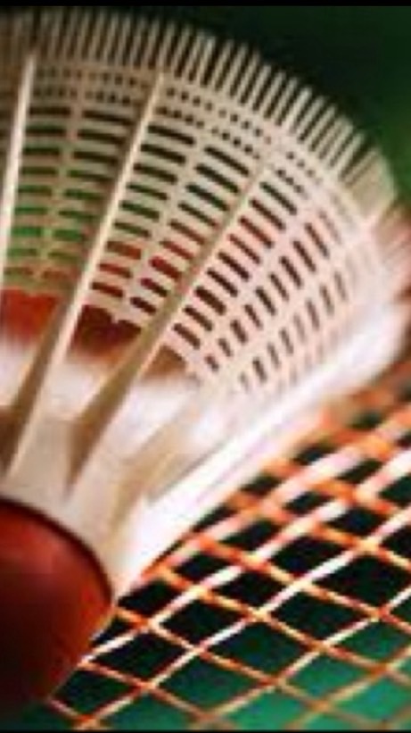BADMINTON 71