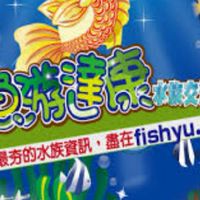 水族玩家~魚游達康 水族交流社群