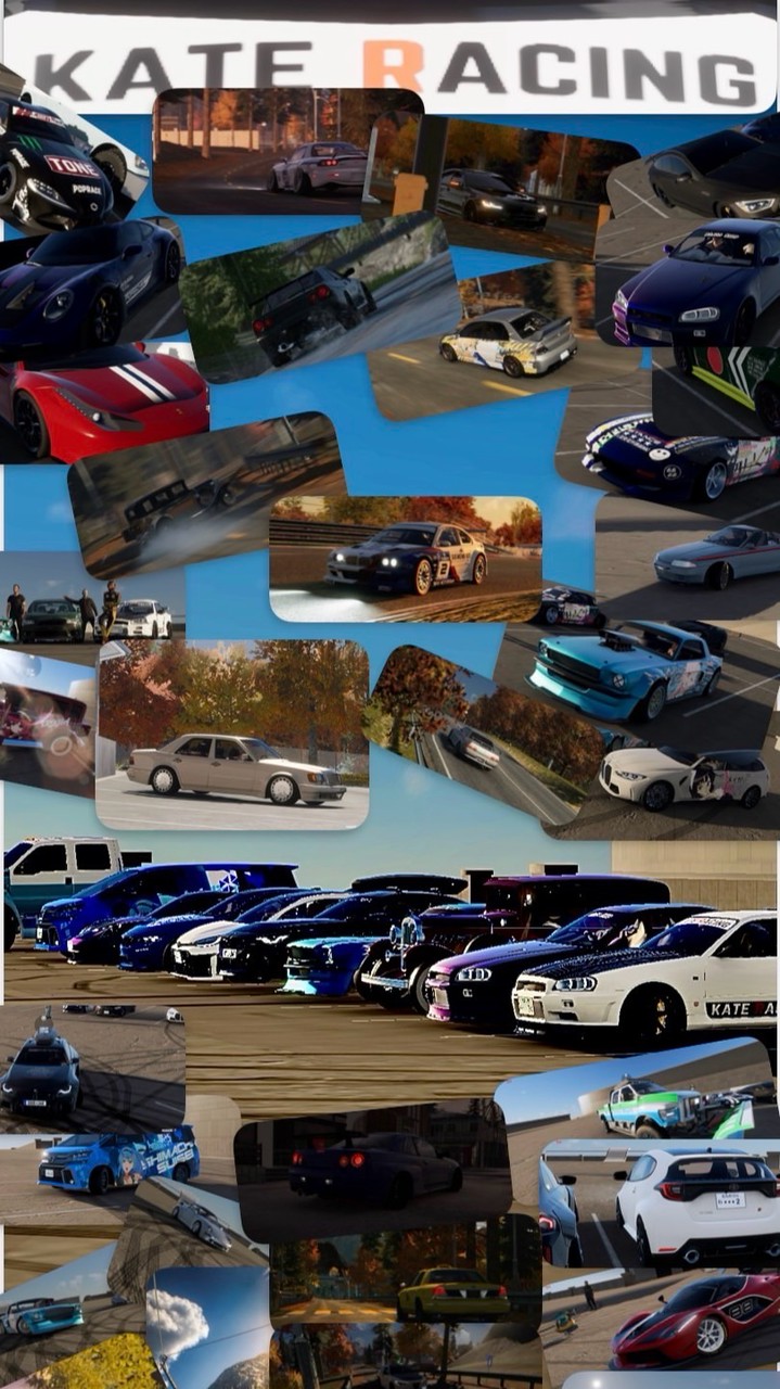 バイナル,配布,依頼,雑談その他なんでもOK！カーパーキング1,2の便利屋 KATE RACING