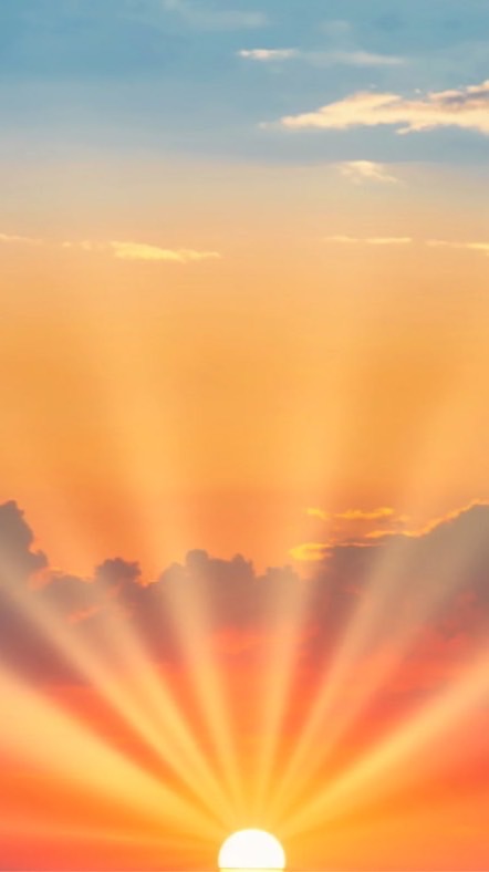 ทุนน้อย100$